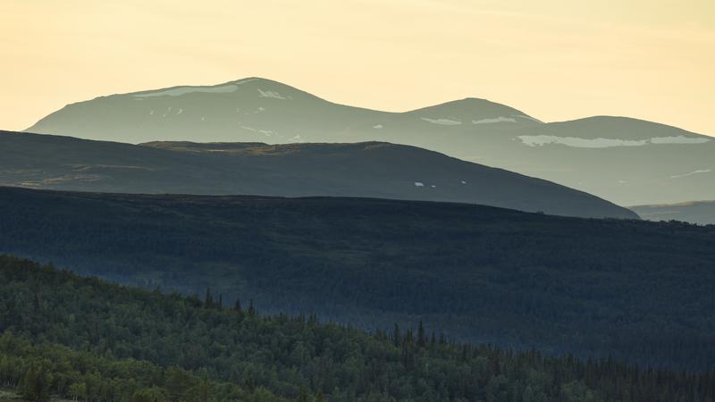 Böljande fjäll i solnedgångs ljus, med en ljusgul himmel i bakgrunden och olika fonder av fjäll och skog i förgrunden.